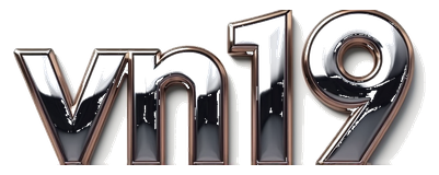 vn19 logo